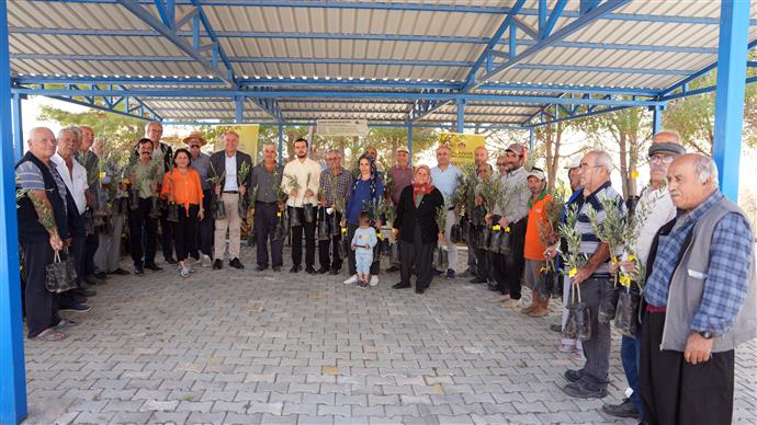 Alanya Belediyesi, Yangın Sonrası Yaraları Zeytin Fidanlarıyla Sarıyor