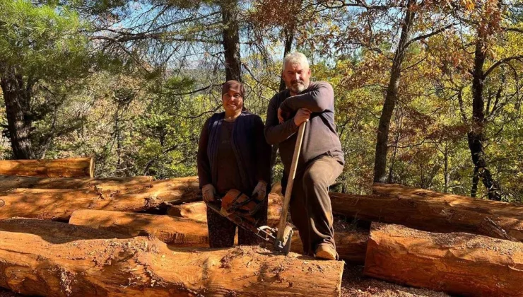 Toroslar’da 35 Yıllık Emek: Ormanı Yuva Bildiler