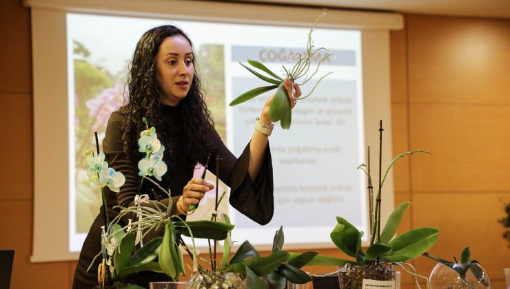 Antalya Büyükşehir’den Orkide Meraklılarına Eğitim: Doğru Bakım Uygulamalı Anlatıldı