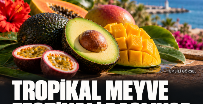 Alanya’da Tropikal Meyve Festivali 9 Ekim’de başlıyor: İşte öne çıkan program