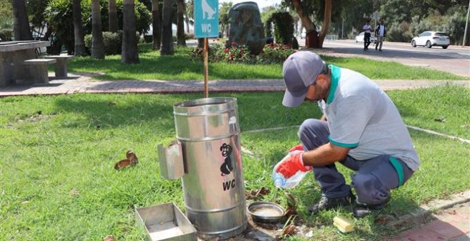 Alanya Belediyesi’nden Sokak Hayvanlarına Yaz Desteği