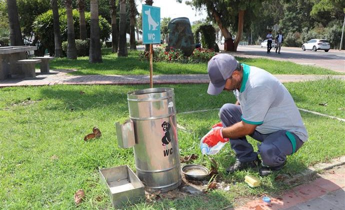 Alanya Belediyesi’nden Sokak Hayvanlarına Yaz Desteği