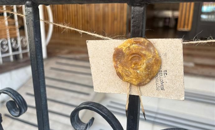 Alanya’da hijyen skandalı: Restoran süresiz mühürlendi
