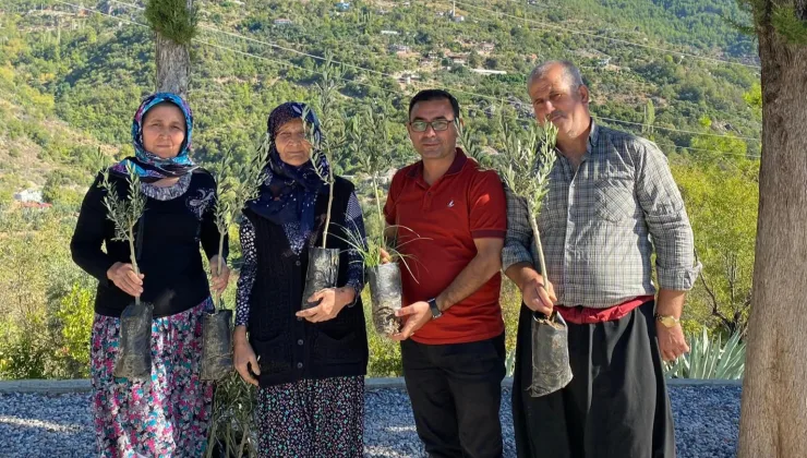 Alanya Ziraat Odası’ndan Yangında Zarar Gören Üreticilere Zeytin Fidanı Desteği