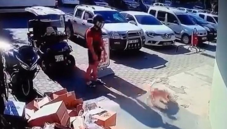Alanya’da kediye tekme atan şahıs gözaltına alındı