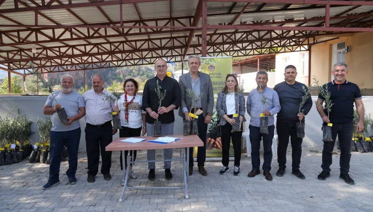Alanya Belediyesi’nden Yangın Mağdurlarına 10 Bin Zeytin Fidanı Desteği