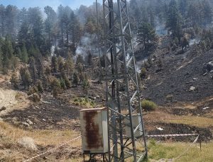 Söğüt Yaylası’ndaki Yangının Sebebi Trafo Patlaması: Yetkililer Soruşturma Başlattı