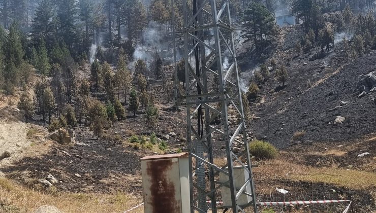 Söğüt Yaylası’ndaki Yangının Sebebi Trafo Patlaması: Yetkililer Soruşturma Başlattı