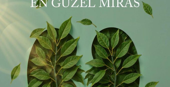 Organ Bağışı Haftası’nda Çağrı: “Yaşamı Paylaş, Umudu Büyüt”