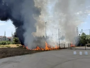 Alanya’da Otluk Alanda Çıkan Yangın Korkuttu