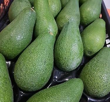 Avokado Üreticileri Toplandı, Satış Sistemi Değişti