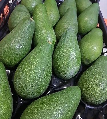 Avokado Üreticileri Toplandı, Satış Sistemi Değişti