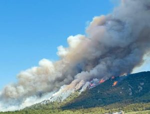 Çanakkale’de orman yangını