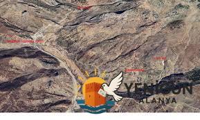 Alanya Kocaoğlanlı Yaylası’nda Köpek Katliamı: 20’ye Yakın Hayvan Zehirlenerek Öldü