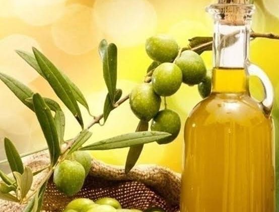 Antalya’da Zeytin ve Zeytinyağı Sektörü Masaya Yatırıldı: Rekolte Beklentisi Yüksek, Maliyetler Artışta