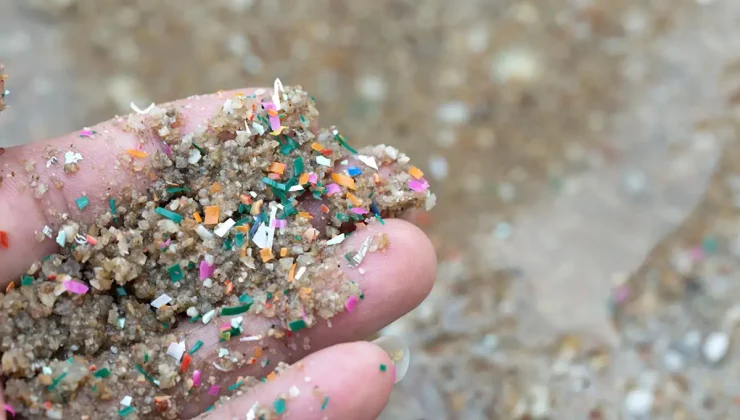 Alanya Kıyılarında Mikroplastik Alarmı: Bazı Noktalarda Yoğunluk 65 Katına Çıktı
