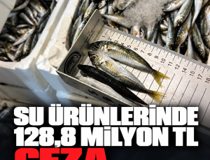 Denizlerde ve iç sularda denetim bilançosu: 128,8 milyon lira ceza