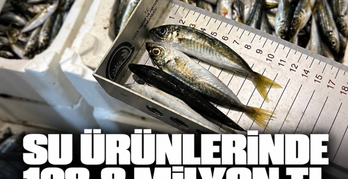 Denizlerde ve iç sularda denetim bilançosu: 128,8 milyon lira ceza