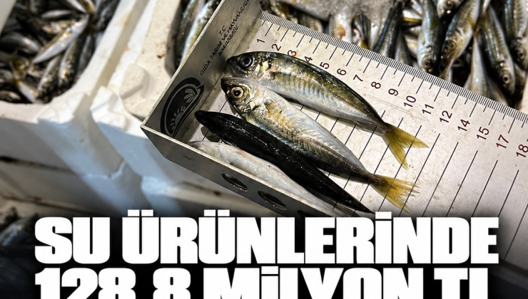 Denizlerde ve iç sularda denetim bilançosu: 128,8 milyon lira ceza