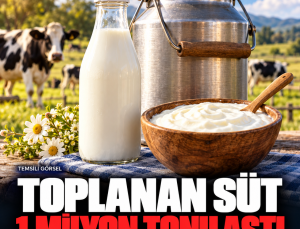 Süt toplama miktarı 1 milyon tonu aştı: Yoğurtta üretim geriledi